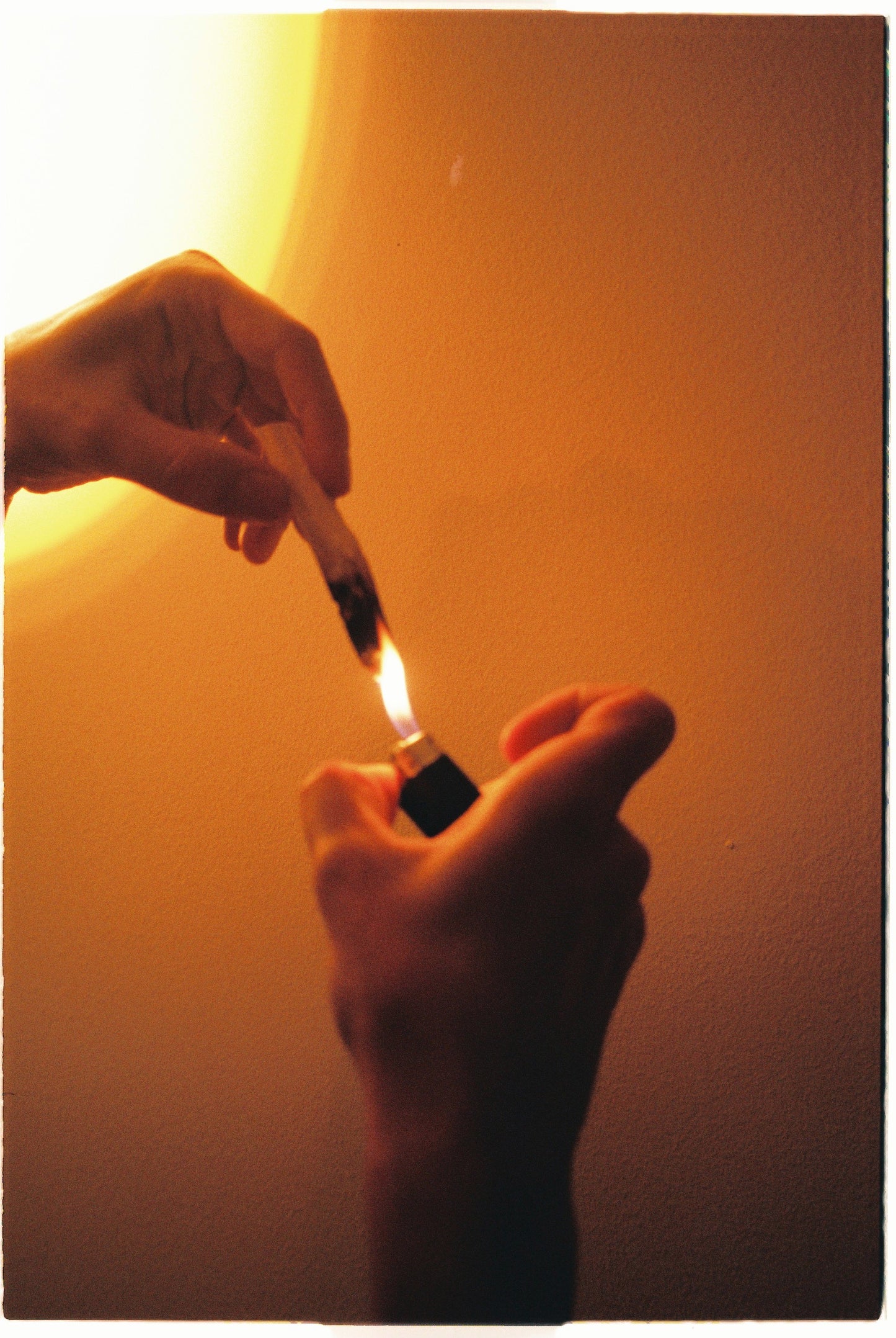 Palo Santo Sticks