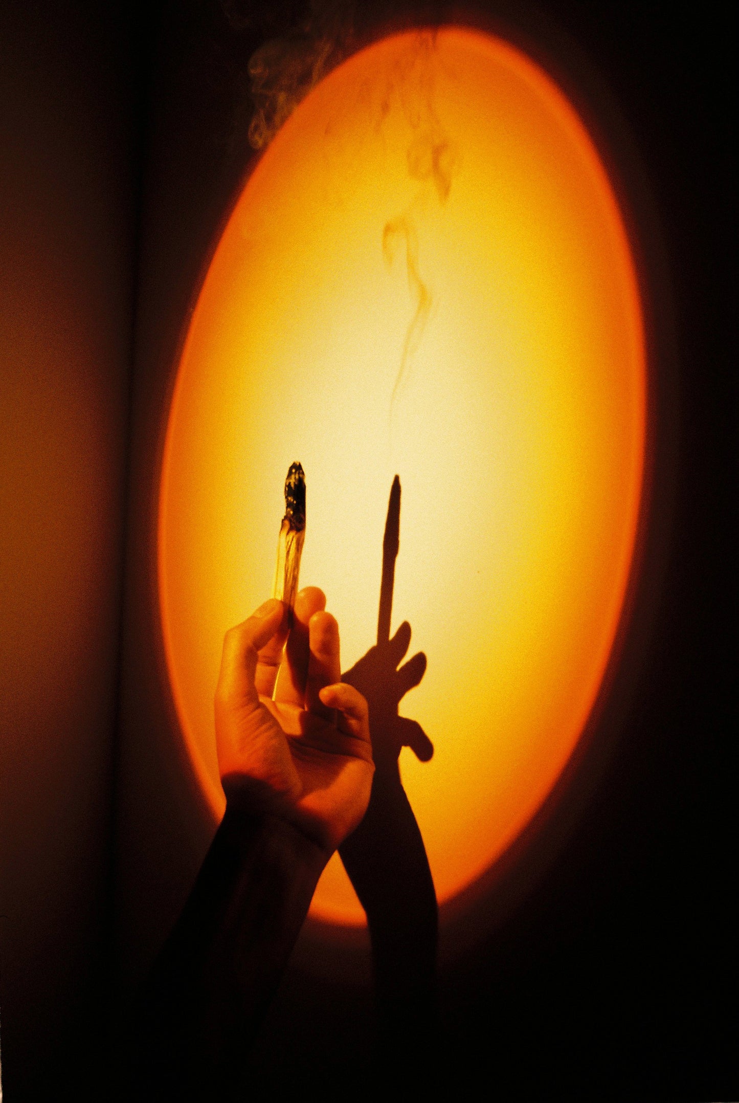 Palo Santo Sticks