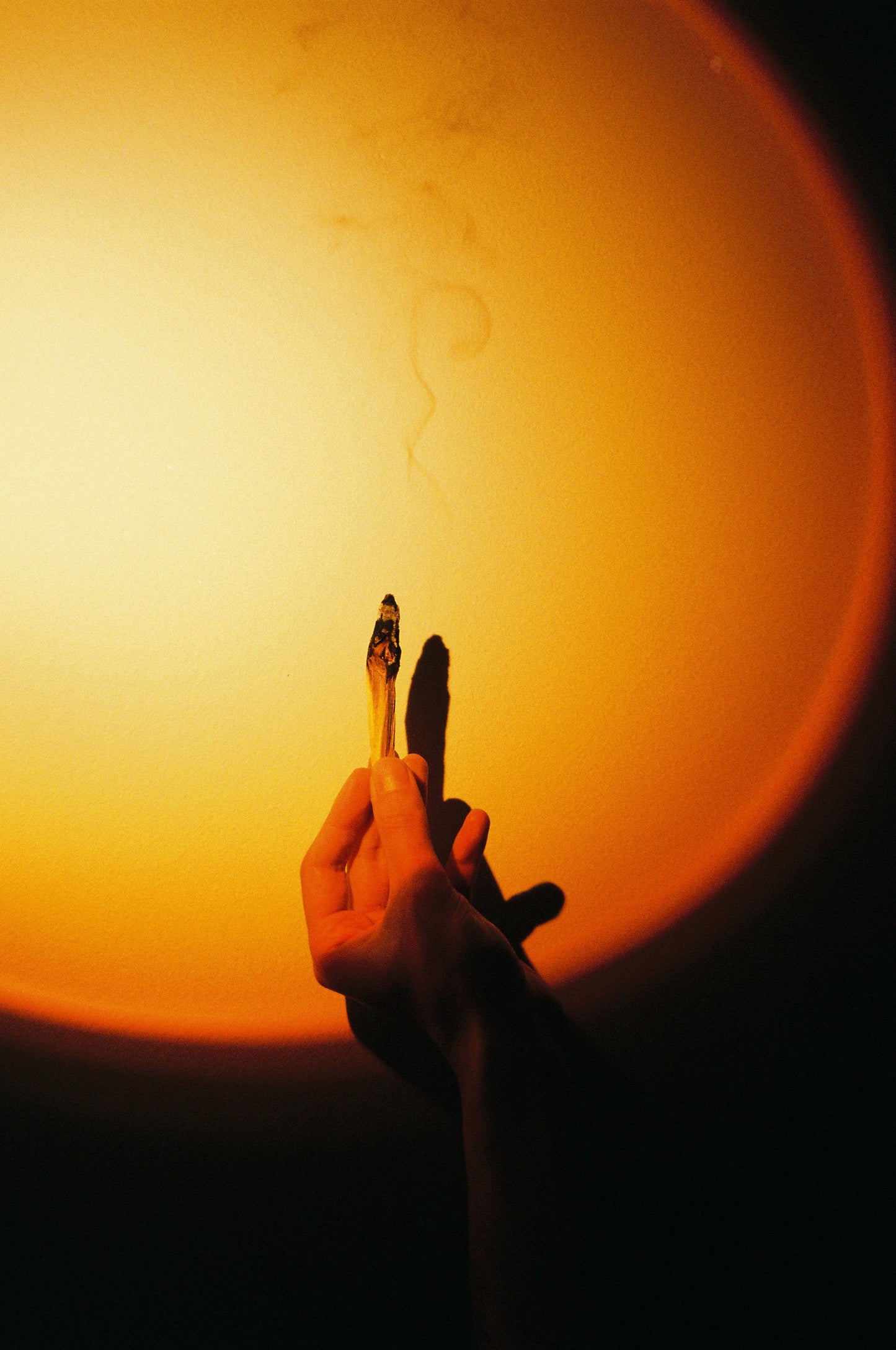 Palo Santo Sticks