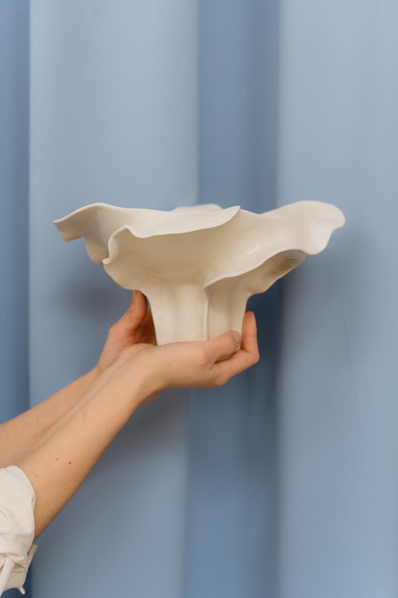 Morph Bowl